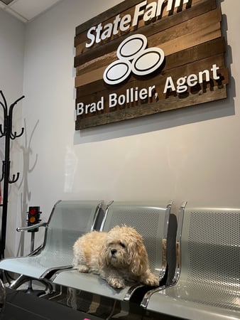 Images Brad Bollier - State Farm Insurance Agent