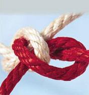 pact Finanz AG, Münsterstr. 94 in Düsseldorf