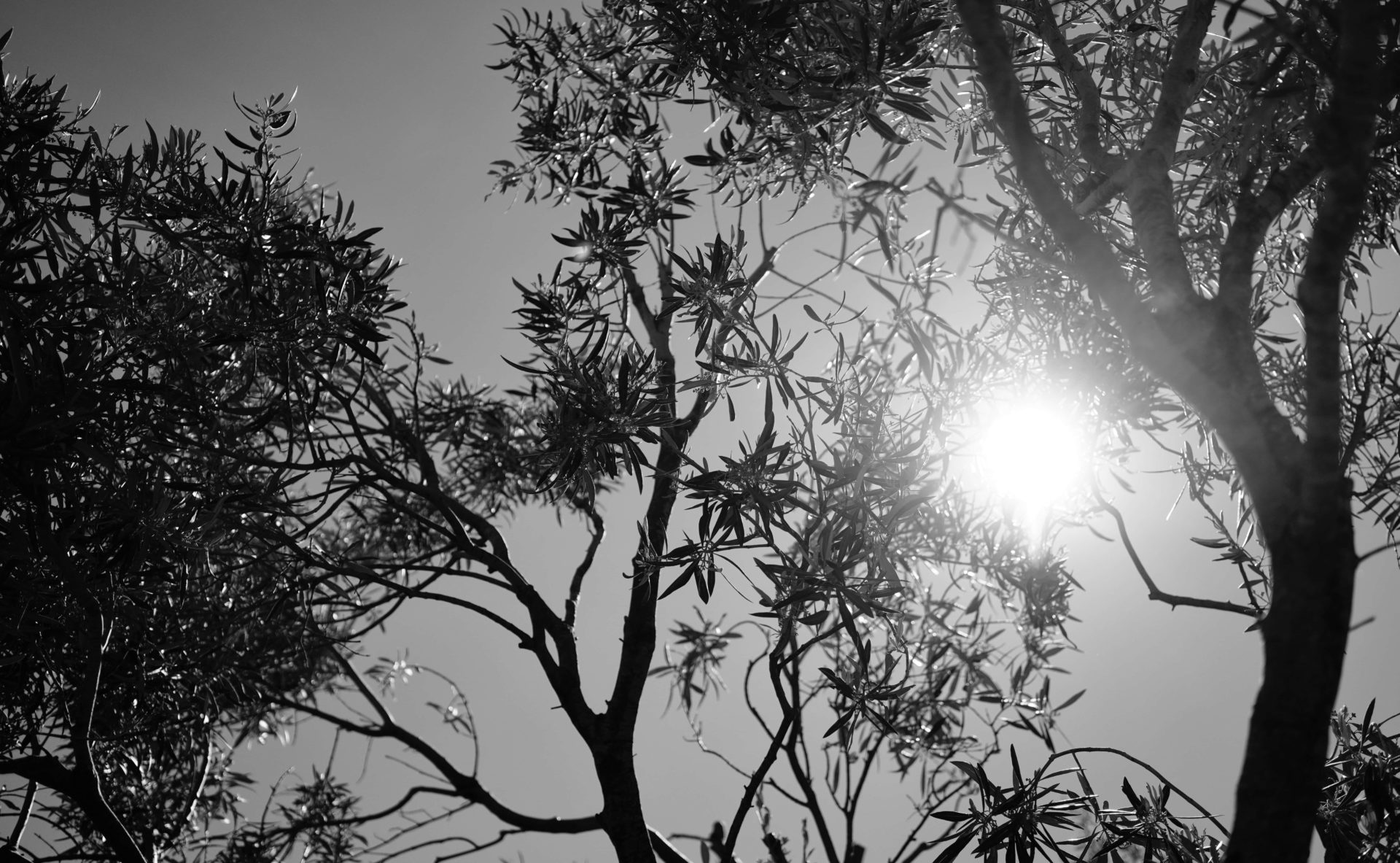 Bild 2 Anna Schmutte Kinderfrage Coaching in Berlin