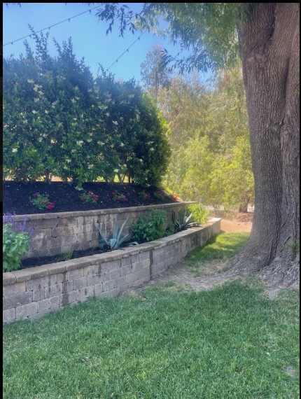 BSA Gardening Services Landscape and More Image