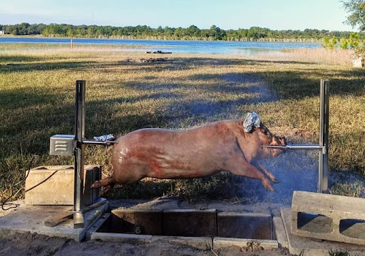 Images Cedar Acres Kunekune Farm