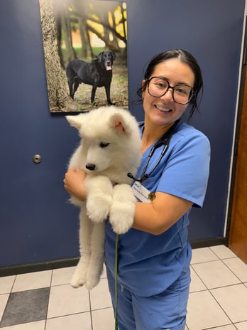 Images VCA Preston Park Animal Hospital