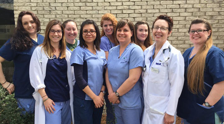 The caring & experienced team at VCA Berwyn Animal Hospital