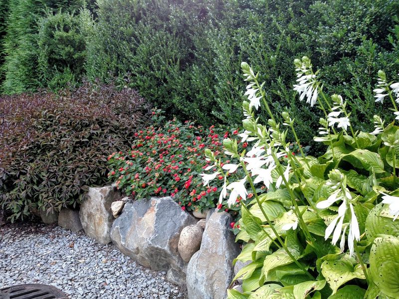 Images Echo Landscaping Inc