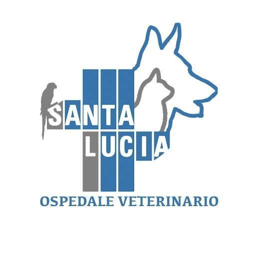Ospedale Veterinario Santa Lucia VP - Veterinarian - Verona - 045 862 0501 Italy | ShowMeLocal.com