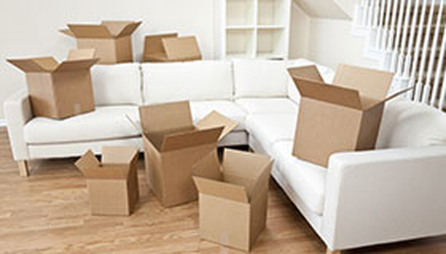 Images Michael's Budget Removals