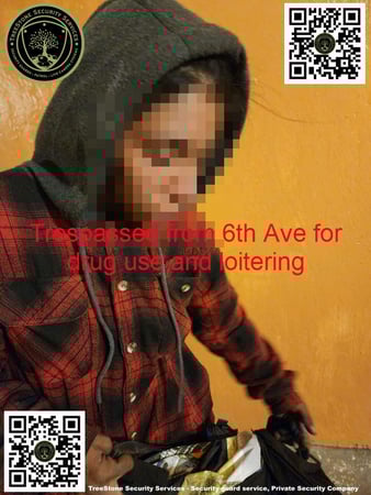 Images TreeStone Security Services