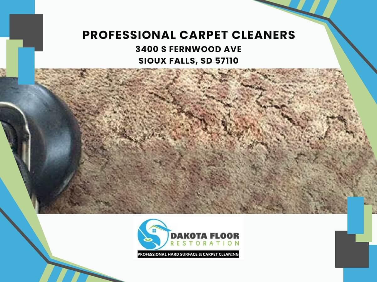 professional carpet cleaners