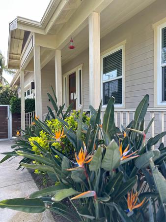 Images Akua Addiction Treatment For Women - Orange County