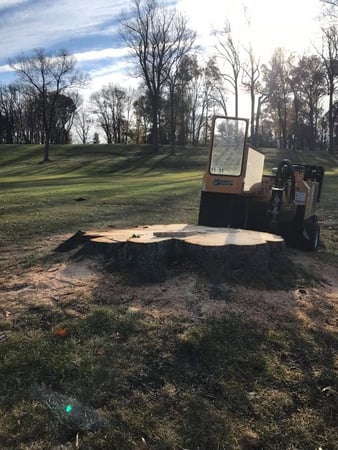 Images Ace Gallagher Stump Grinding