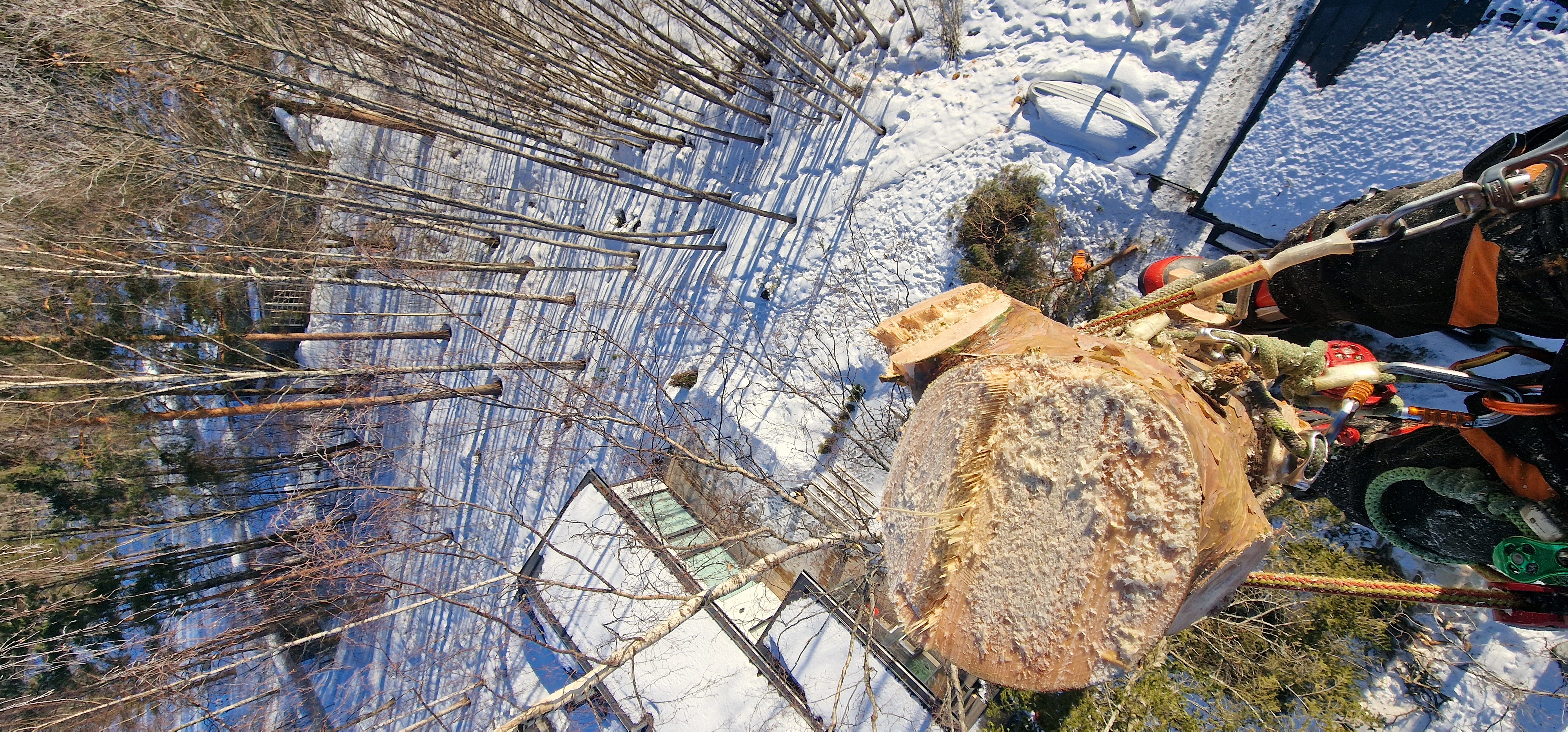 Images Välijoen metsätyö Oy