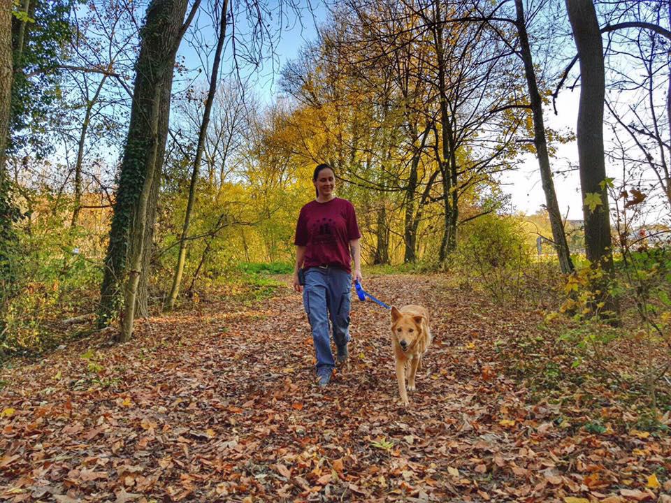 Tierhotel 5 Stern, Grienackerweg 3 in Niedergösgen