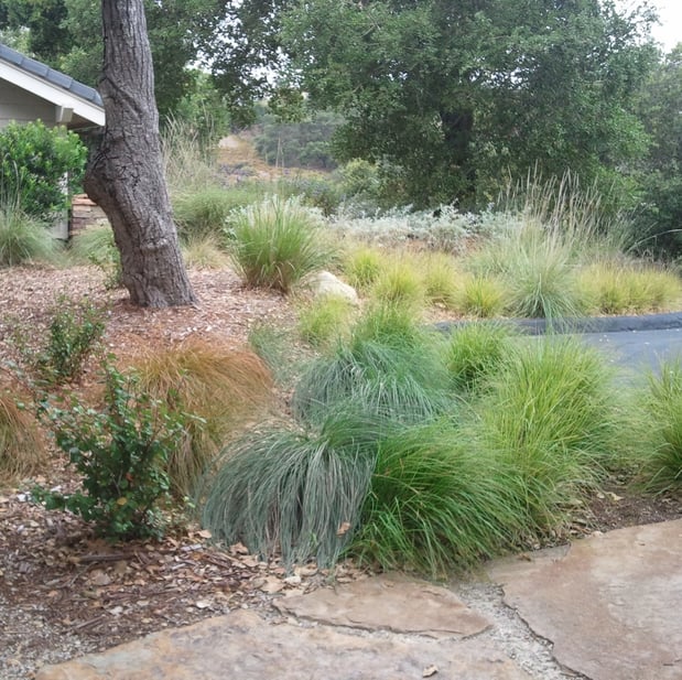 Images All Seasons Gardening & Landscaping