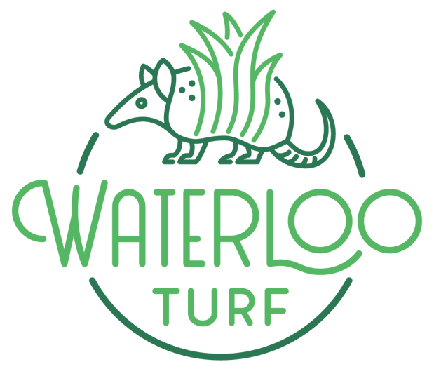 Images Waterloo Turf Dallas
