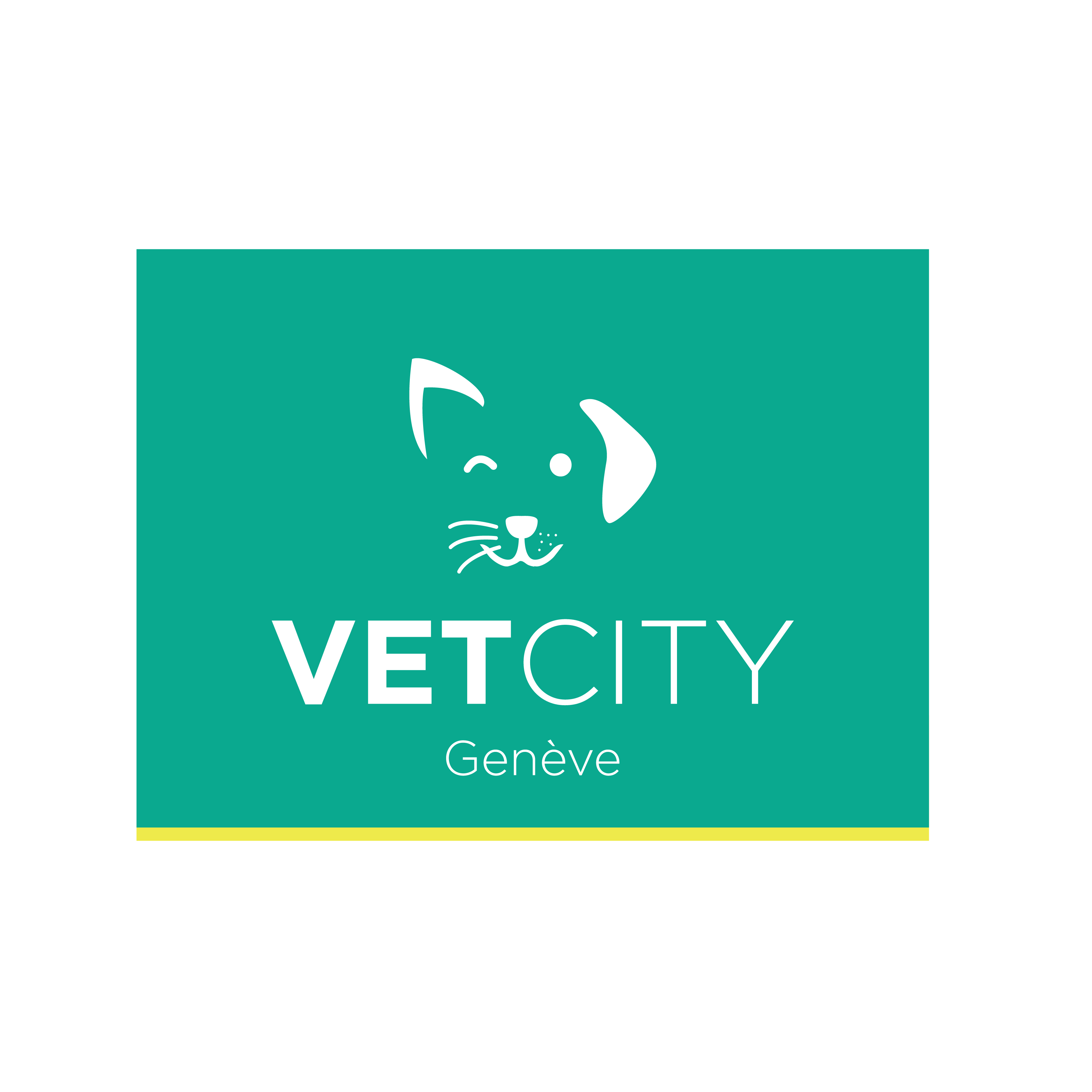 VETCITY Cabinet Vétérinaire Genève Logo