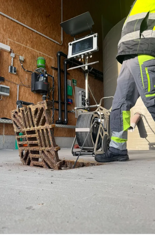 Bilder Wurz GmbH
