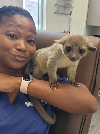 Images VCA Park Cities Animal Hospital