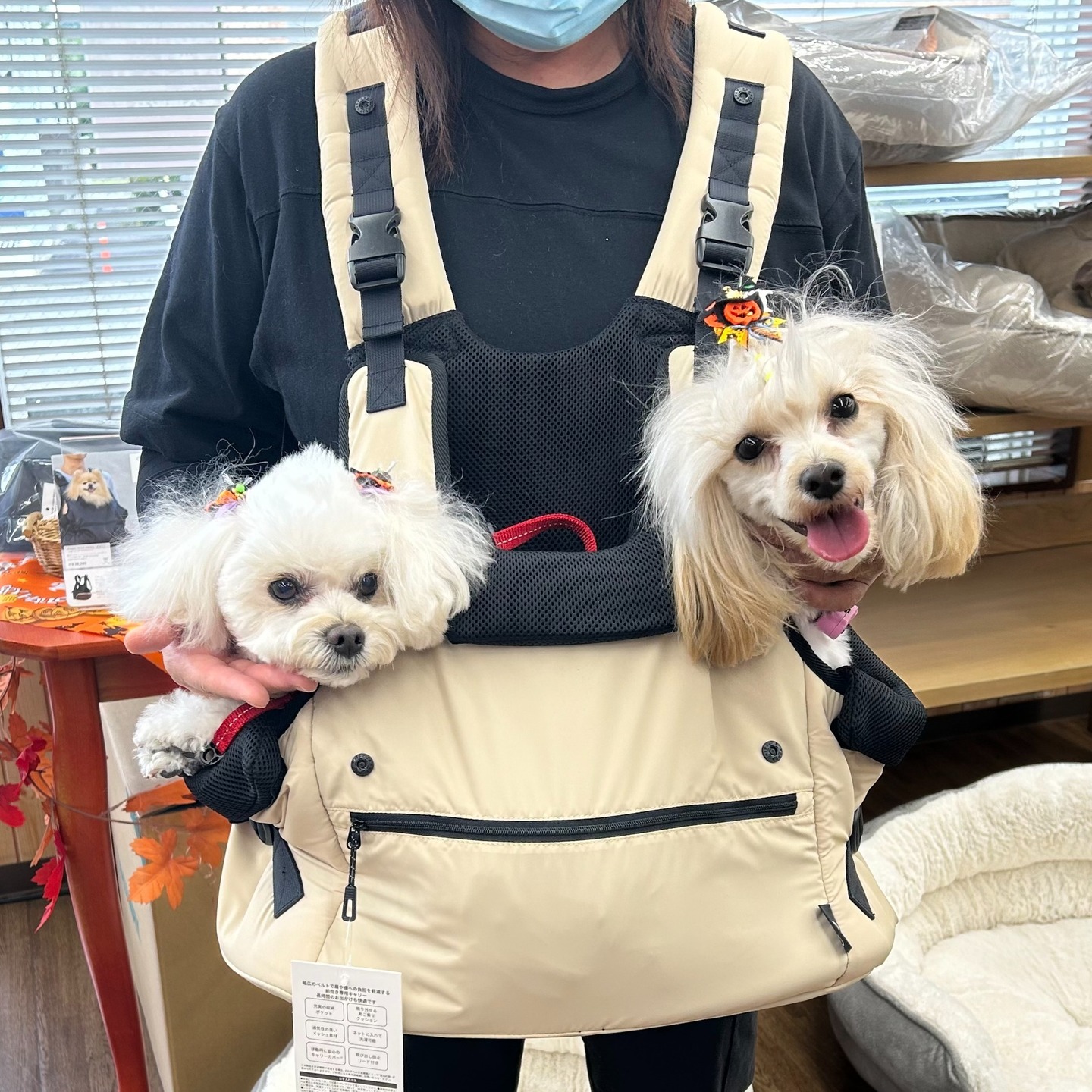 Images たまとポチ 宇津木店