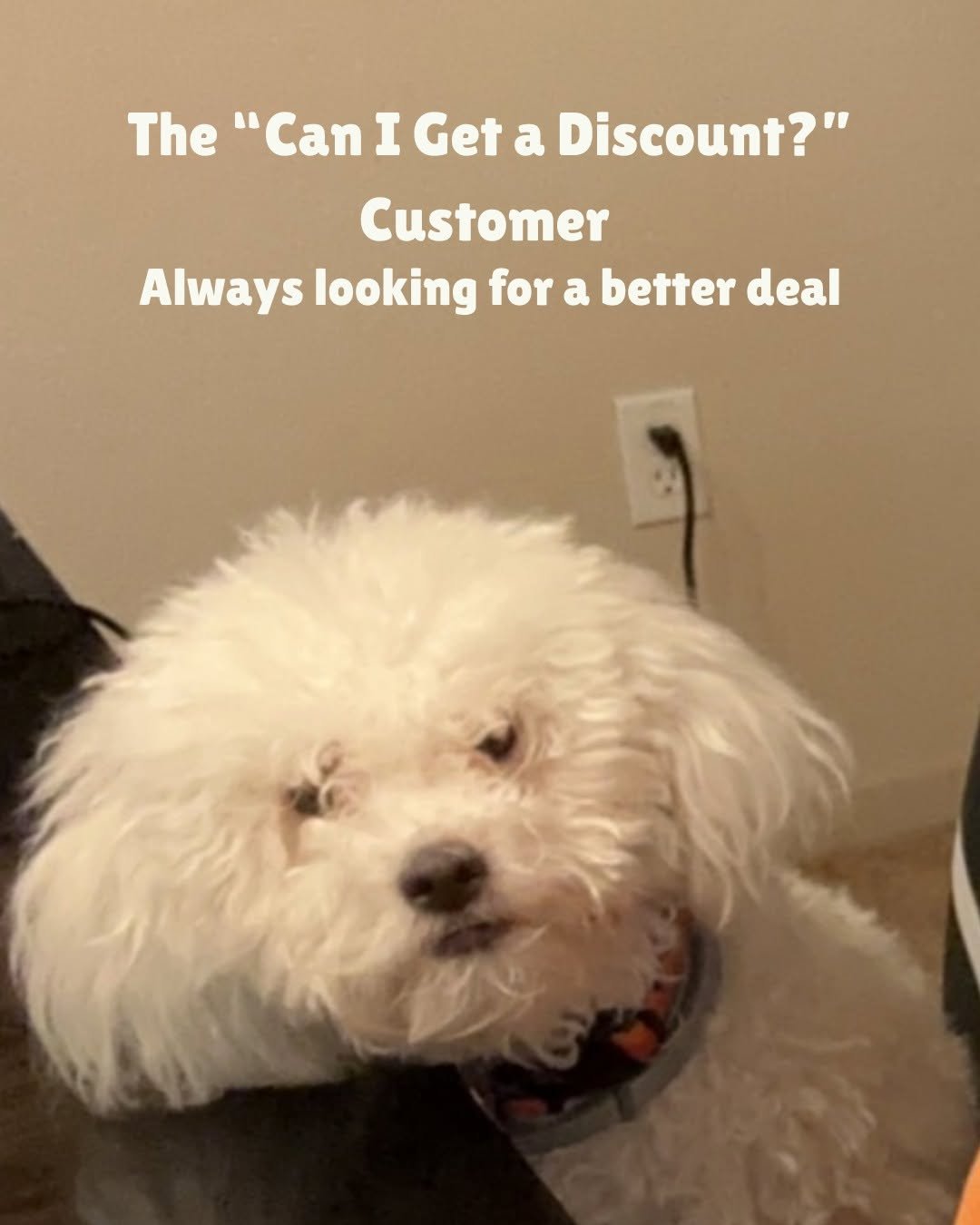 Our dogs have VERY different personalities, so naturally, they have different insurance personalitie 