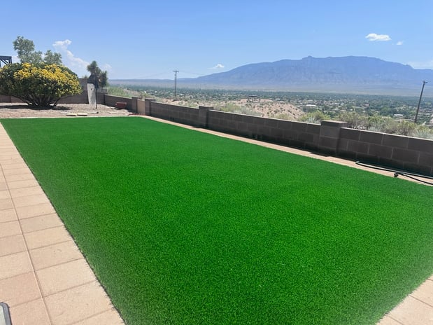 Images Purchase Green Artificial Grass