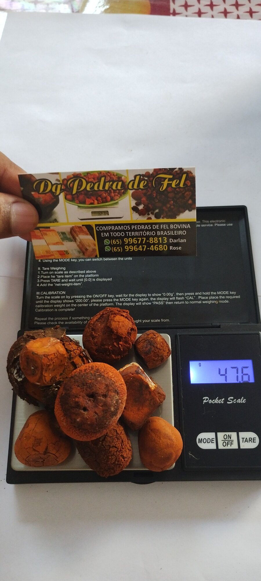 Images Dg pedras de fel bovinos