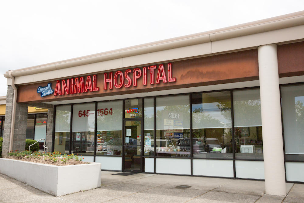 Cornell Center Animal Hospital Photo