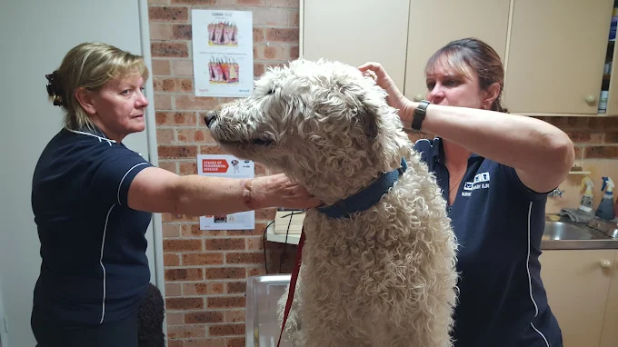 Images Kurmond Veterinary Clinic