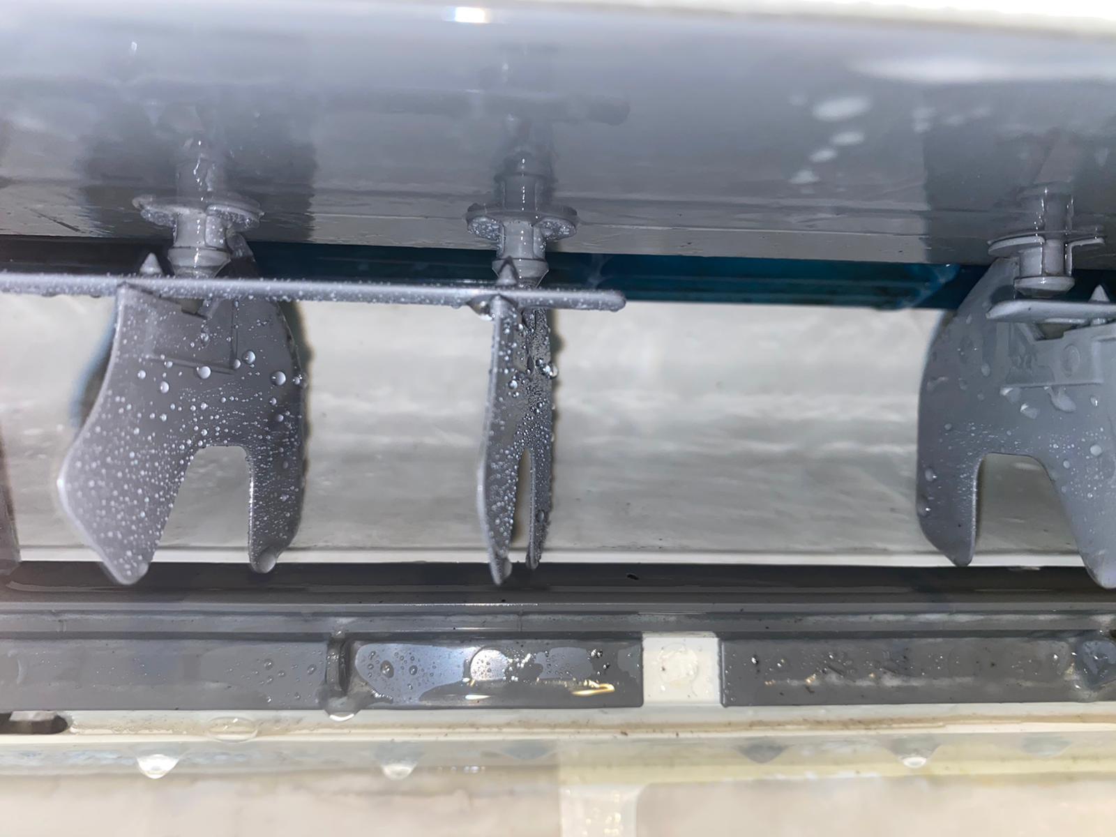 Images MouldMen - Mould Gone