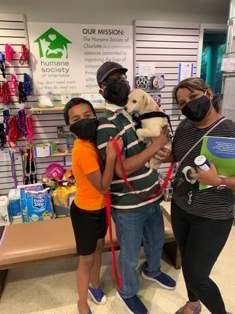 Images The Humane Society of Charlotte