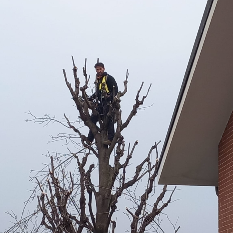 Images Polliotto Manutenzioni Giardini di Polliotto Peter