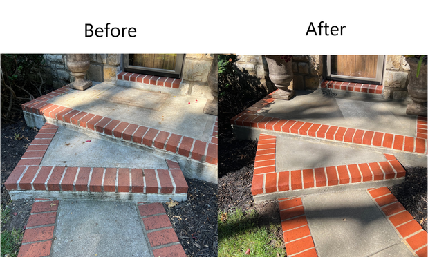 Images Pink Hippo Power Wash