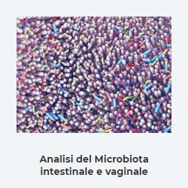 Images Genechron
