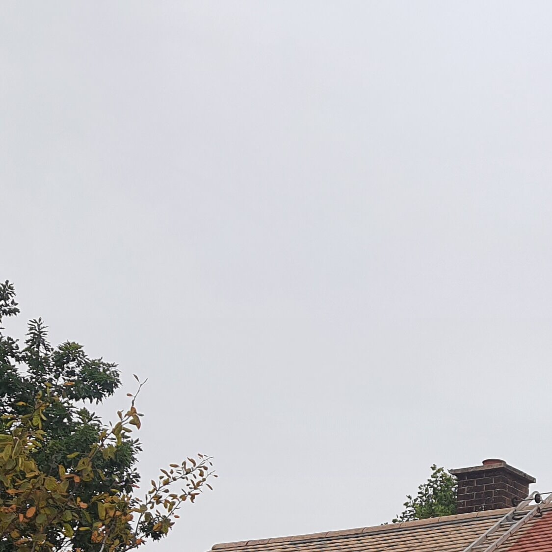 Images MM Roof Cleaning Services (MMRCS)