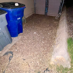 Zamora's Yard Cleanup And Junk Removal Services LLC Image