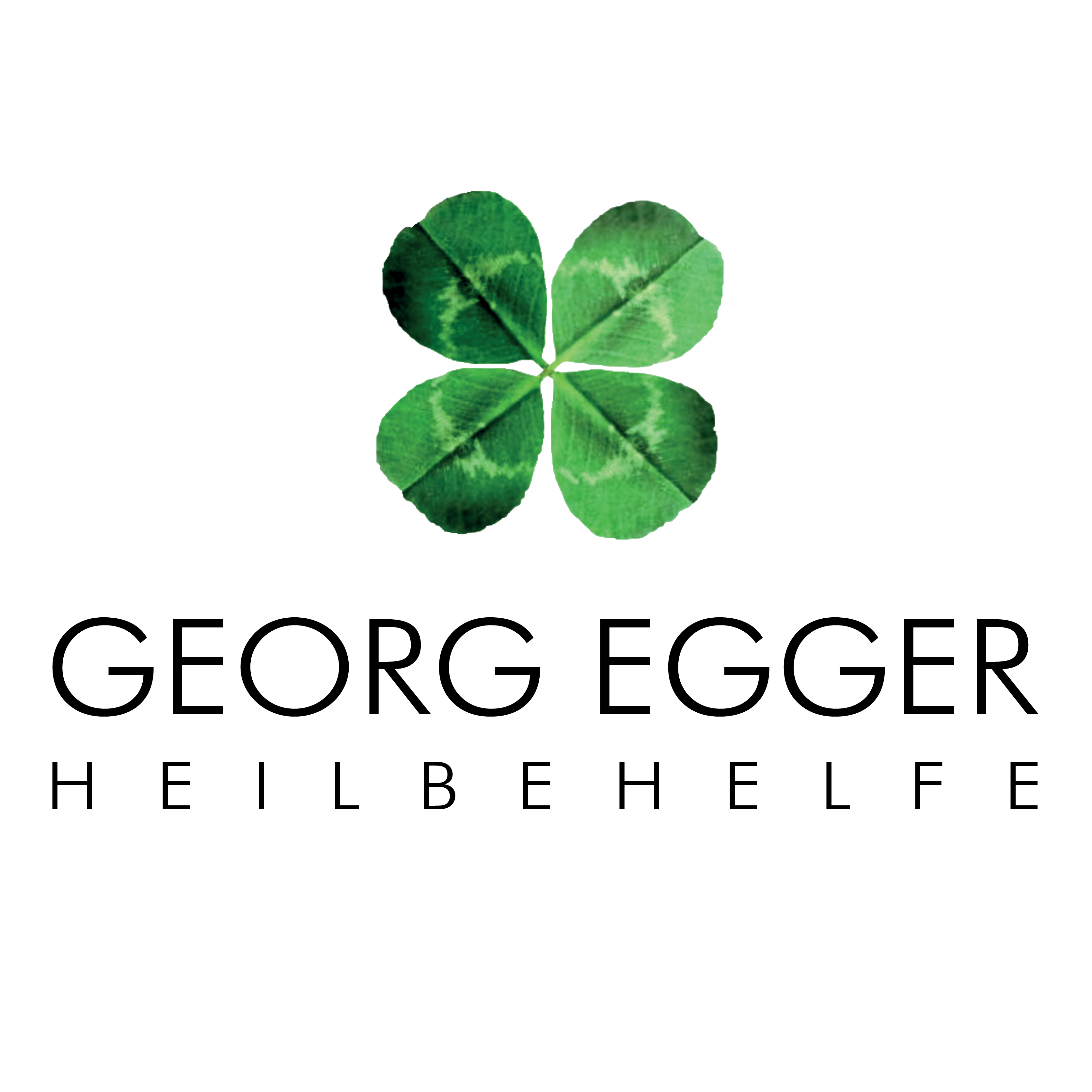 Georg Egger & Co GesmbH Logo
