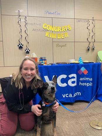 Images VCA West Los Angeles Animal Hospital