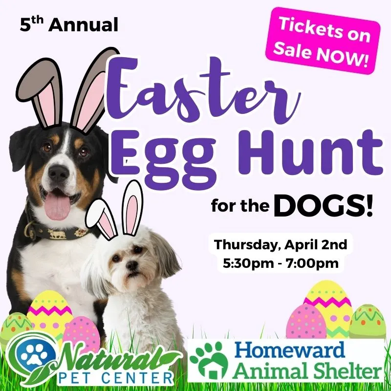 Image of Local Pet Event 5th Annual Easter Egg Hunt for the Dogs! Nearby