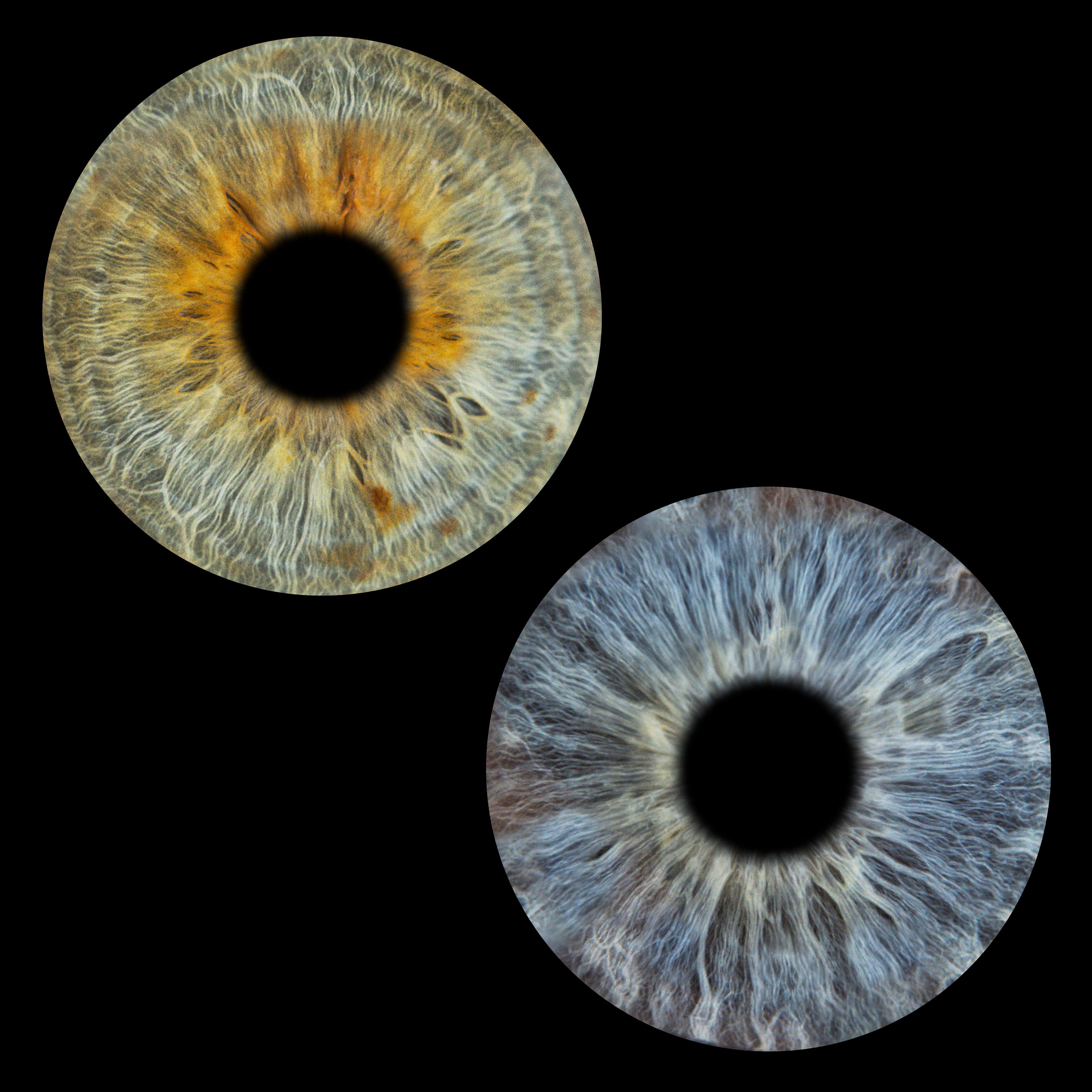 Bilder You & Eye Photo Montreux