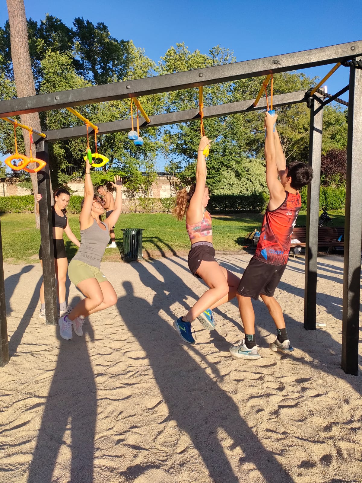 Images Brave Bulls Training