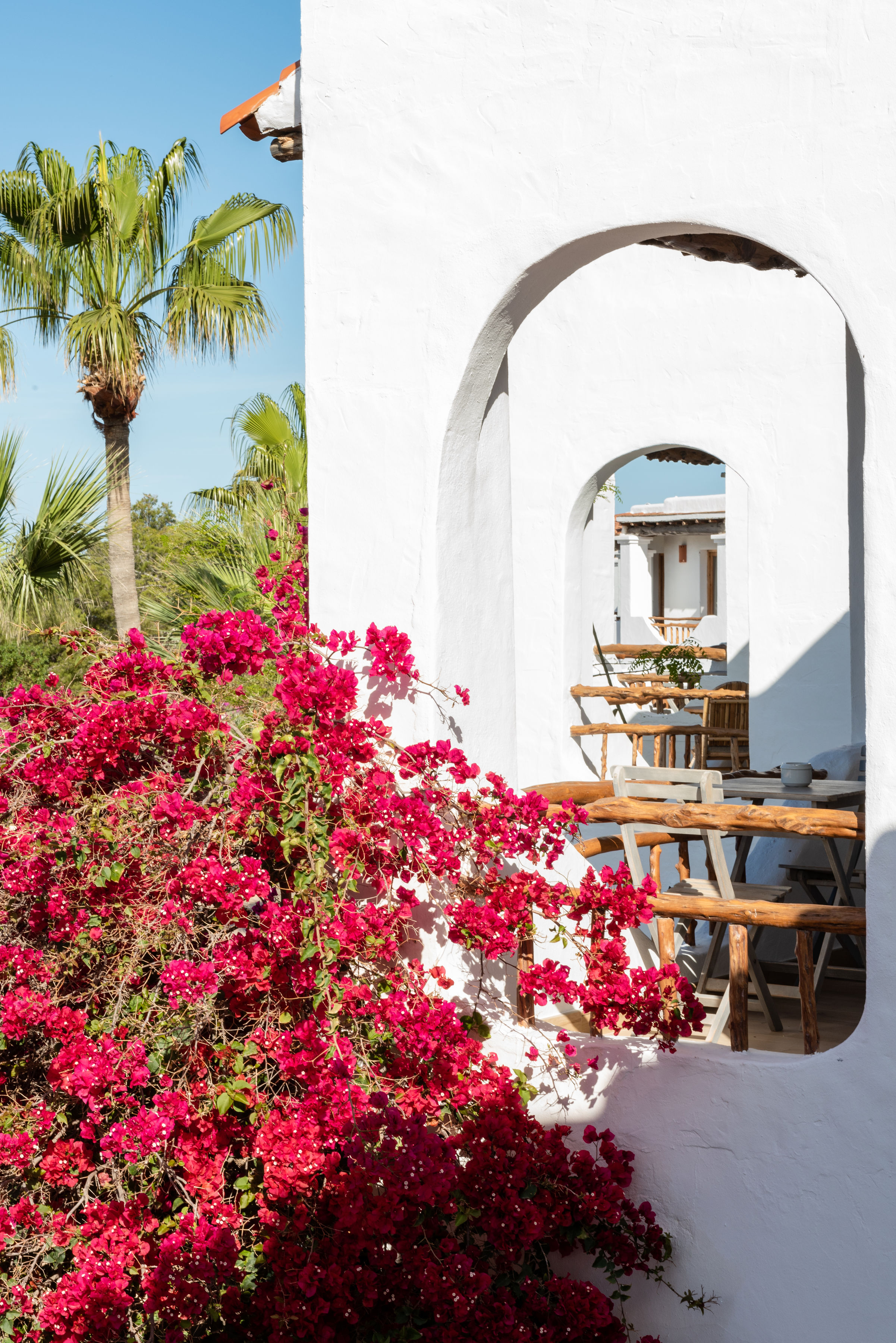 Petunia, Ibiza, a Beaumier hotel