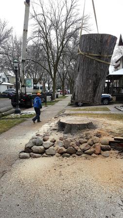 Images Twin City Tree Service