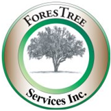 ForesTree Services
