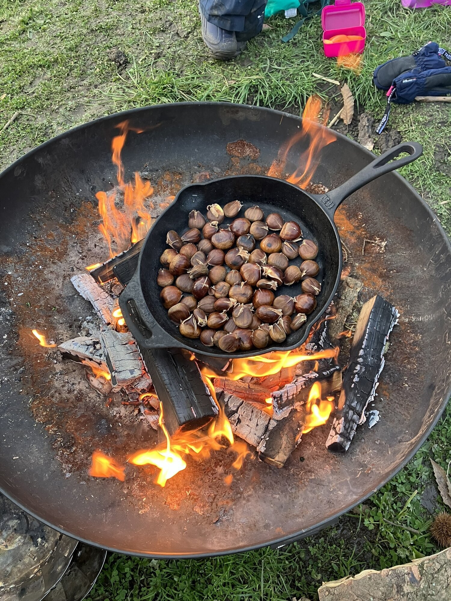 Wildnisschule WildnisWelt in Greven