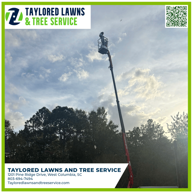 Images Taylored Lawns & Tree Service