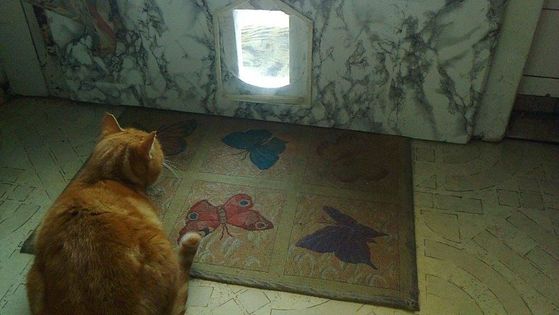 HB Gartenschutzanlagen, Oberhofstrasse 8 in Hinwil