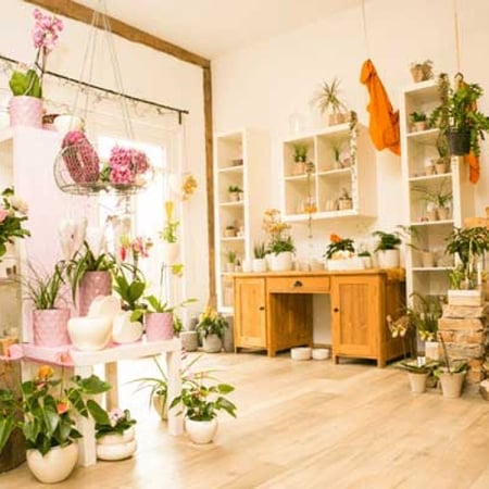 Bilder flower dreams