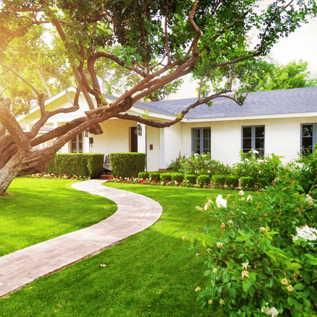 Images Lopez Tree Services and Landscaping