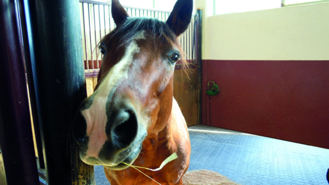 Images StallMagasinet AB