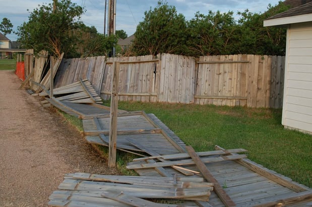 Images Lake Area Tree Removal & Services