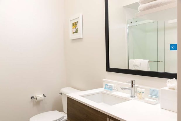 Images Hampton Inn & Suites East Lansing/Okemos
